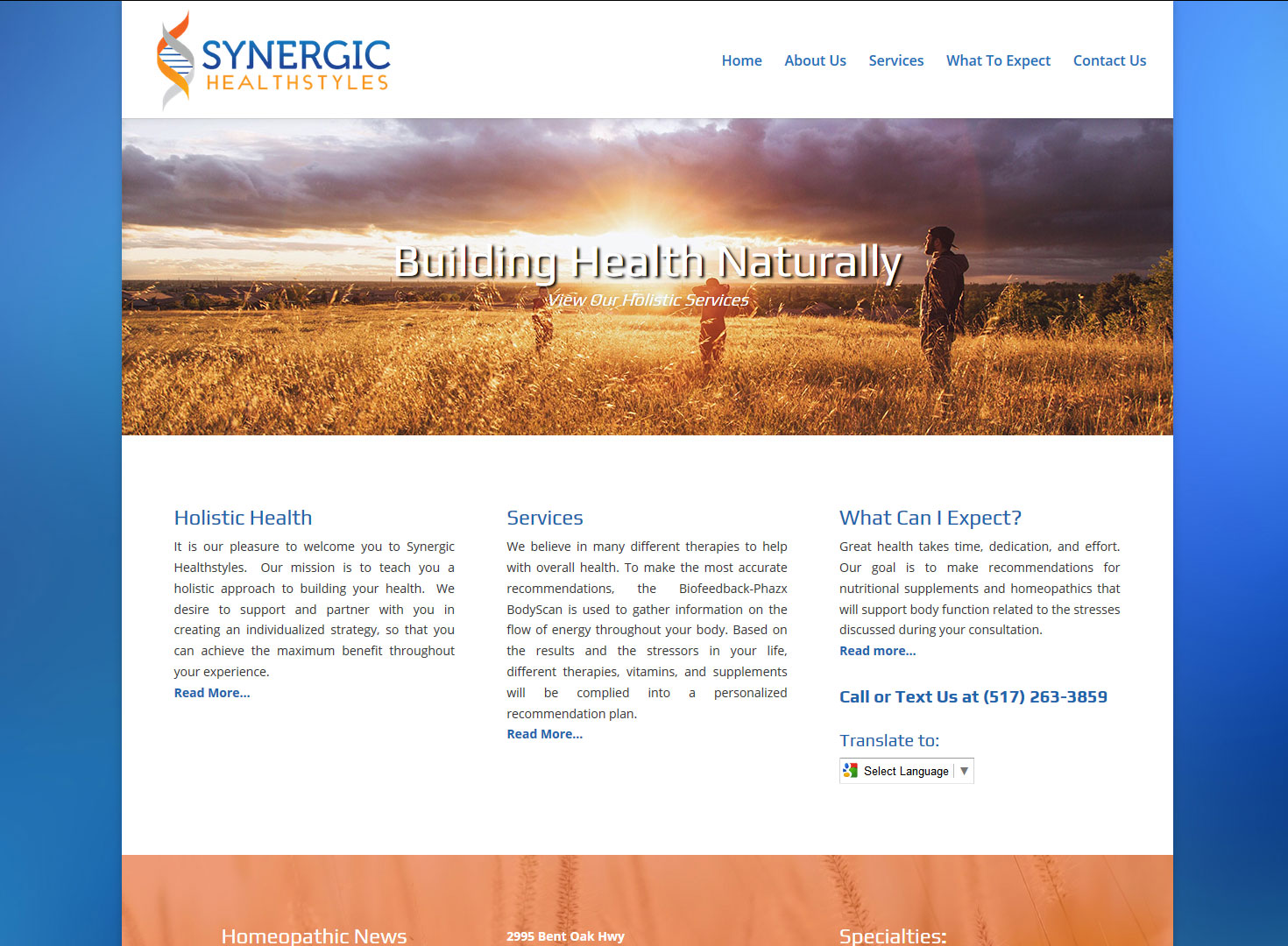 Synergic Healthstyles