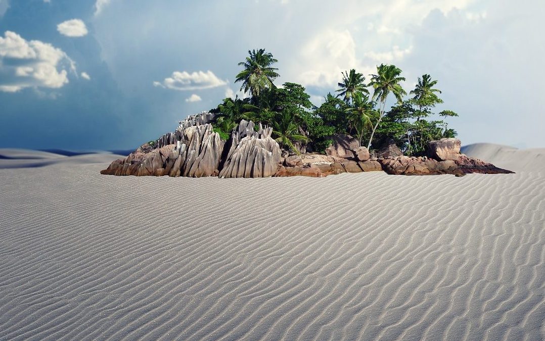 Protect Your Business from the Rising Tide of Web Accessibility Lawsuits