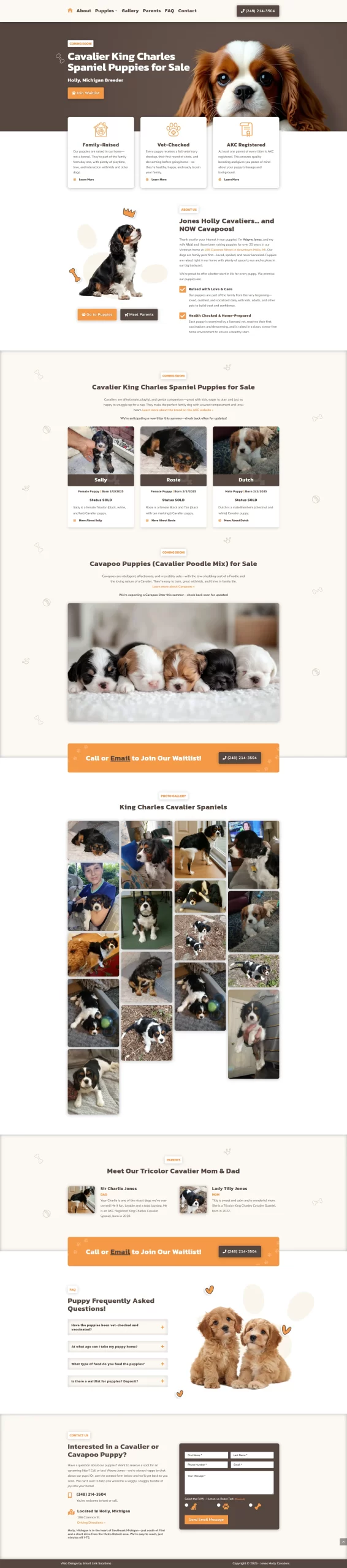 Jones Holly Cavalier Puppies Website