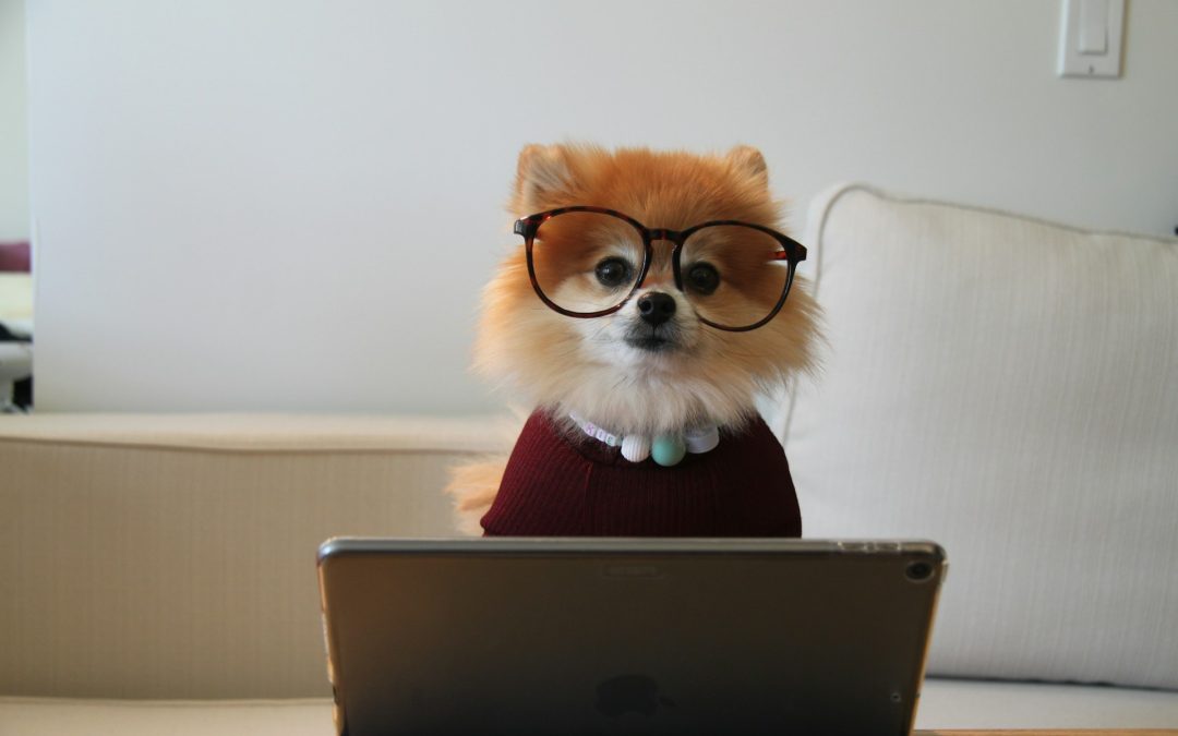 6 Ways Content Marketing Can Transform Your Business